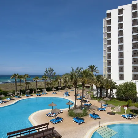 Sol Milanos Pingueinos